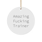 Funny Trainer Gifts from Friends - 'Amazing F--king Trainer' Quote Circle Ornament for Christmas - Image 1